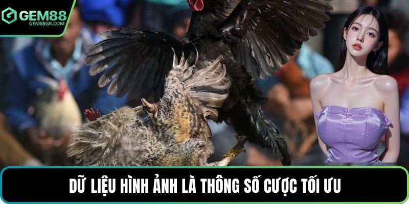 Dữ liệu hình ảnh là thông số cược tối ưu