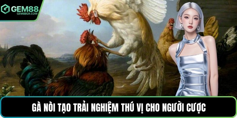 Gà nòi tạo trải nghiệm thú vị cho người cược