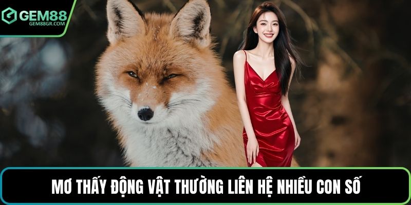 Mơ thấy động vật thường liên hệ nhiều con số