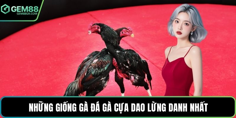 Những giống gà đá gà cựa dao lừng danh nhất